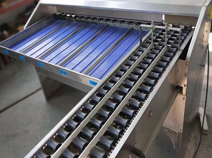 Egg Sorting Machine Egg Sorting Machine